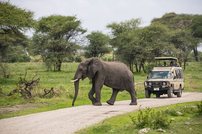 2 Days Ruaha National Park - Key Points