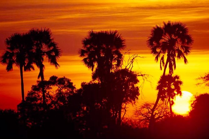 2 Days Ruaha National Park - Accommodation Details
