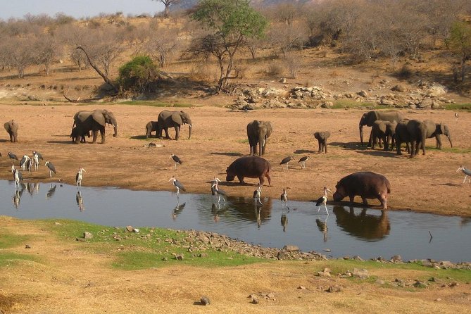 2 Days Ruaha National Park - Pickup and Meeting Points