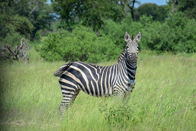 2 Days Saadani National Park From Zanzibar - Pickup Information