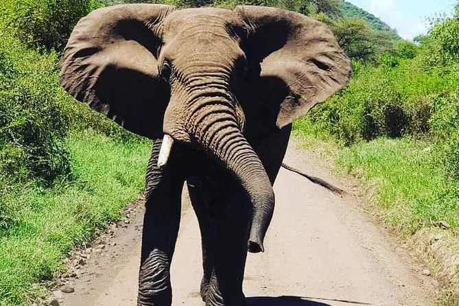 2 Days Saadani National Park From Zanzibar - Traveler Information