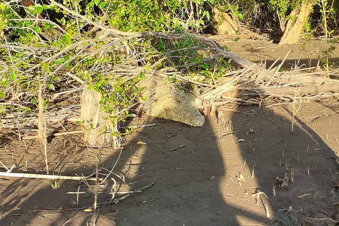 2 Days Saadani National Park From Zanzibar - Morning Game Drive