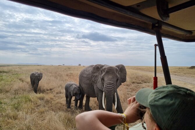 2 Days Safari in Tarangire and Ngorongoro Crater - Key Points