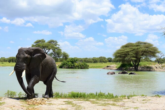 2 Days Safari Through Tarangire NP and Lake Manyara NP - Tour Inclusions