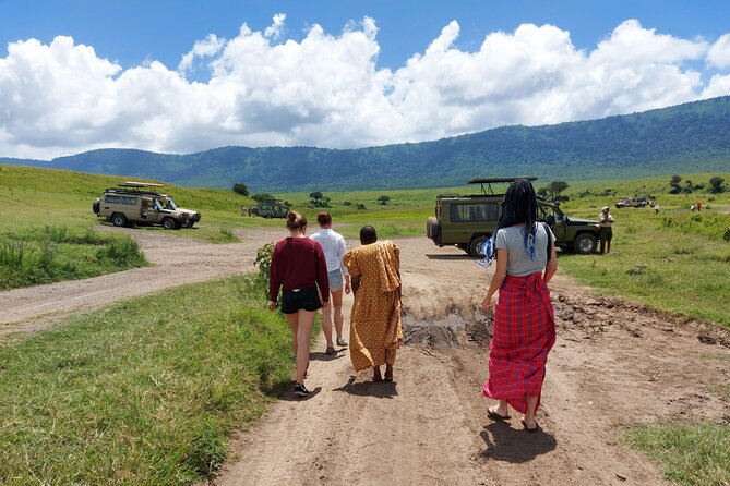 2 Days Safari Through Tarangire NP and Lake Manyara NP - Provider and Reviews