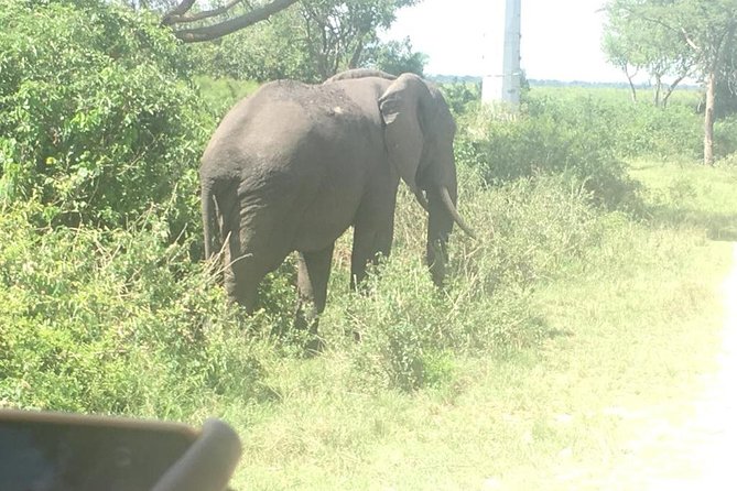 2 Days Safari to Queen Elizabeth National Park With Cruise - Included in the Package