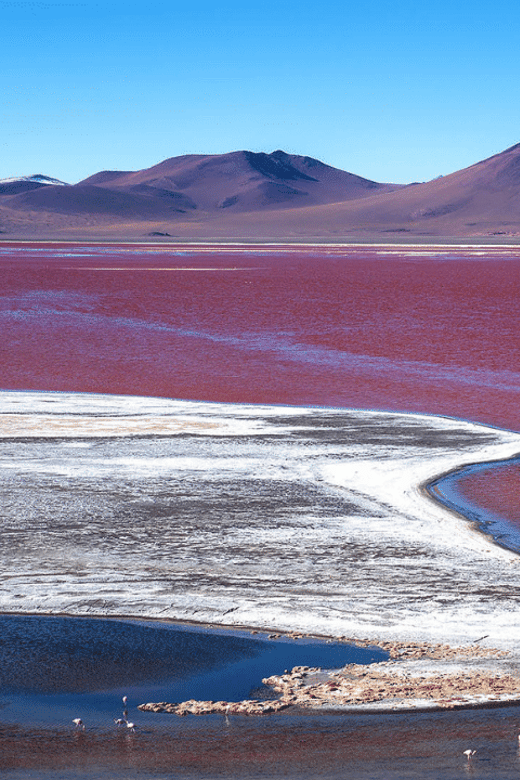 2-Days Salar De Uyuni Including Laguna Colorada - Accommodation