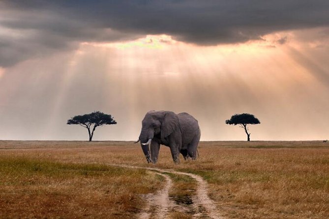 2 Days Selous Game Reserve Safari From Zanzibar or Dar Es Salaam - Safari Itinerary Details