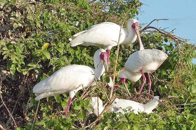 2 Days Selous Game Reserve Safari From Zanzibar or Dar Es Salaam - Reviews and Ratings
