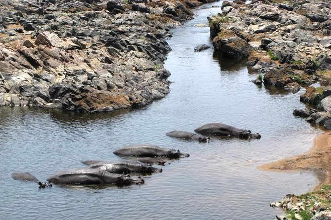 2 Days Selous Game Reserve Safari From Zanzibar or Dar Es Salaam - Booking Your Safari Experience