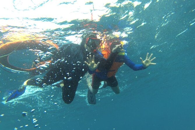 2 Days Shared Speedboat Tour to See Komodo and Sunset Tour - Itinerary Day 2