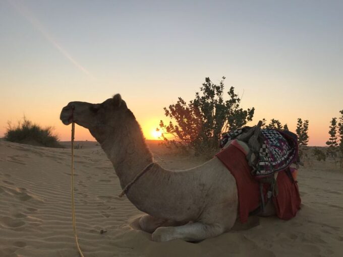 2 Days Sharing Group Non Touristic Camel & Desert Safari - What to Bring