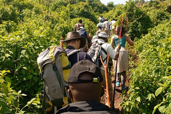 2 Days Sipi Falls Hike and Coffee Tour - Transportation and Pickup