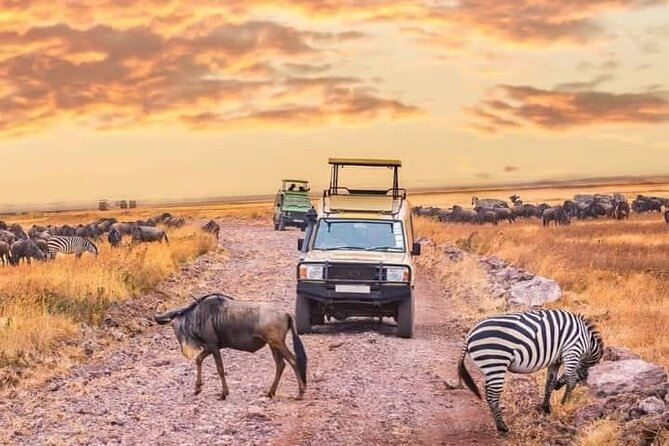 2- Days Tanzania Private (Budget) Safari - Inclusions
