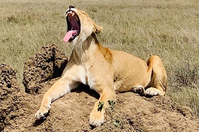 2- Days Tanzania Private (Budget) Safari - Cancellation Policy