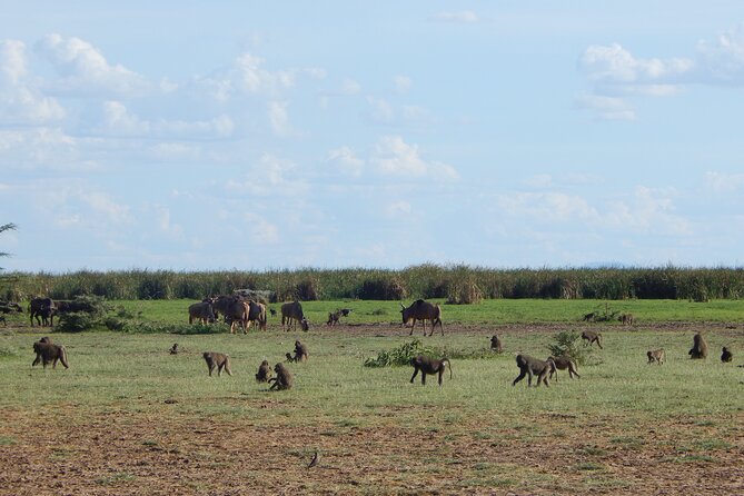 2 Days Tarangire and Ngorongoro Crater Tour - Pickup Information