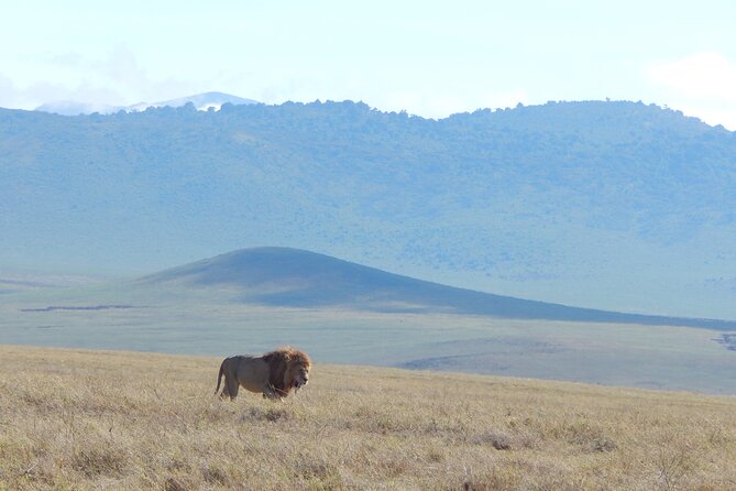 2 Days Tarangire and Ngorongoro Crater Tour - Tour Details