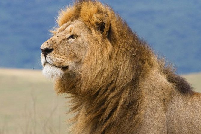2 Days Tarangire & Ngorongoro Budget Safari Tour Tanzania - Pickup Information