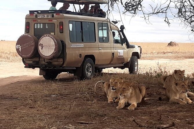 2 Days Tarangire & Ngorongoro Budget Safari Tour Tanzania - Additional Information