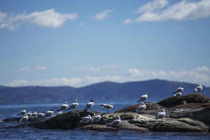2 Days, the Mystic Titicaca Lake - Exploring Copacabanas Vibrant Culture