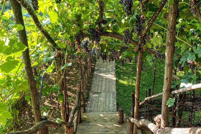 2 Days Tirana, Berat and Castle of Berat Tour - Tour Schedule
