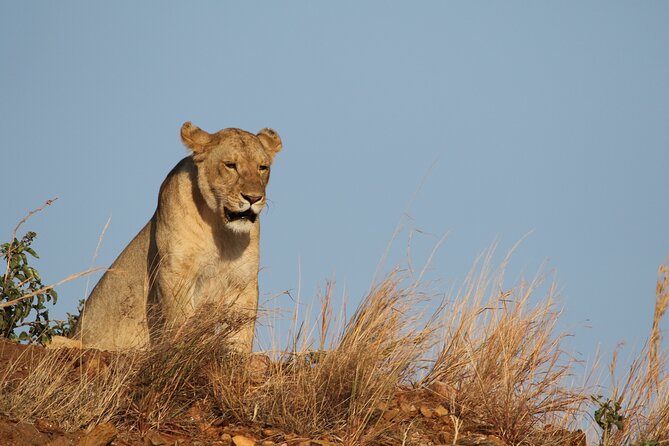 2 Days to Tarangire and Ngorongoro Crater - Campsite Accommodations