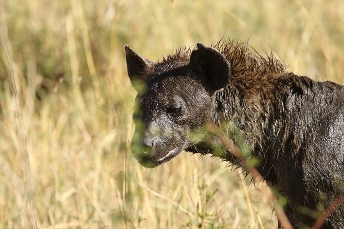 2 Days to Tarangire and Ngorongoro Crater - Cost-Effectiveness