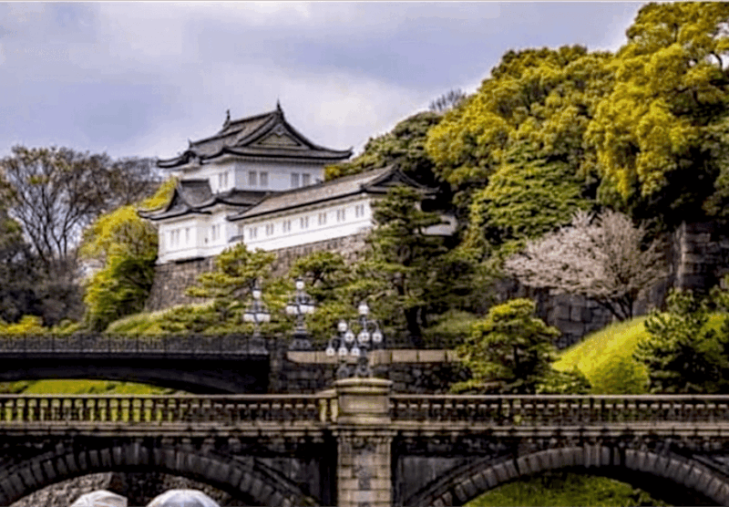 2 Days Tokyo, Mount Fuji Trip Private Guided Tour - Itinerary Customization