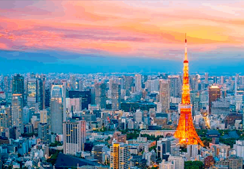 2 Days Tokyo, Mount Fuji Trip Private Guided Tour - Inclusions and Amenities
