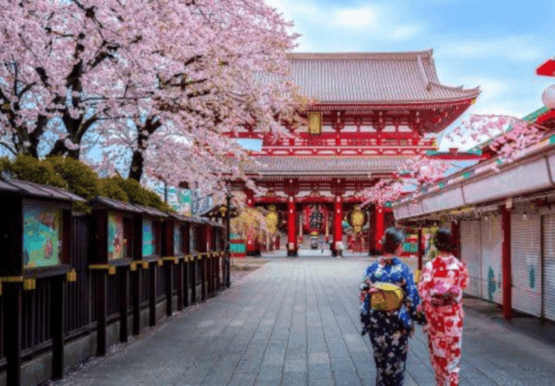 2 Days Tokyo, Mount Fuji Trip Private Guided Tour - Important Information