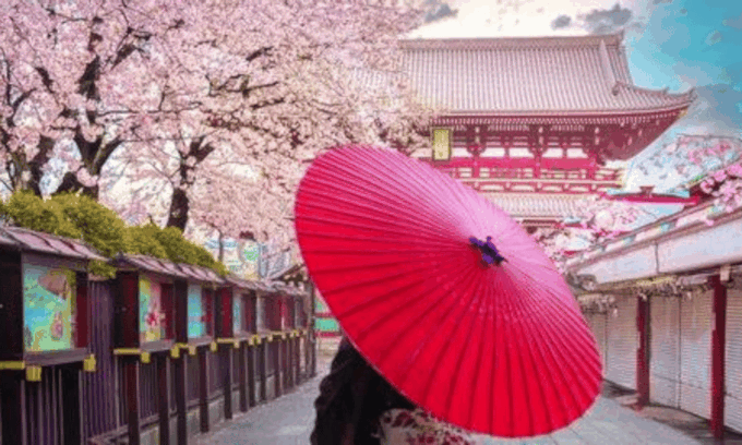 2 Days Tokyo, Mount Fuji Trip Private Guided Tour - Contact and Support