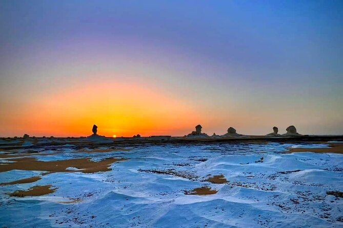 2 Days Tour From Cairo to the White Desert. With Transfers - Reviews