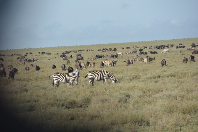 2 Days Tour From Zanzibar to Nyerere National Park (Selous GR) - Booking and Reservation Information