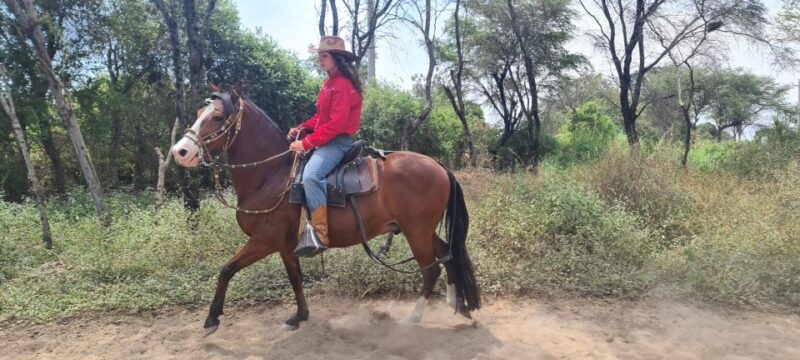2 Days Tour - Horse Riding / Pyramids of Tucume - Day 1: Horse Riding