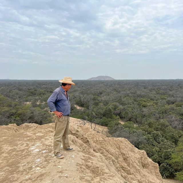 2 Days Tour - Horse Riding / Pyramids of Tucume - Peruvian Paso Horses