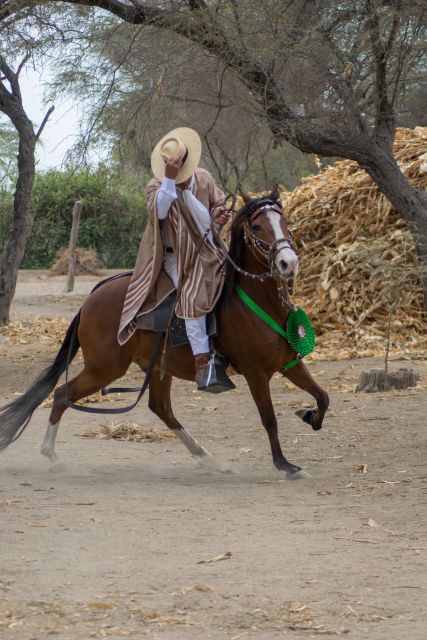 2 Days Tour - Horse Riding / Pyramids of Tucume - Important Information