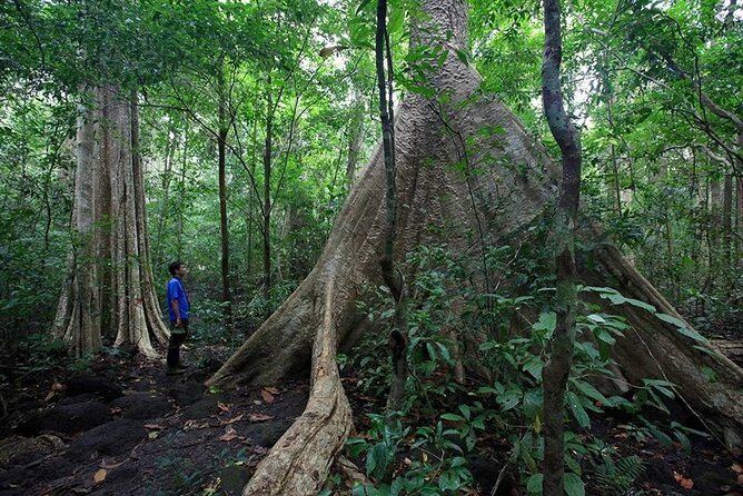 2 Days Tour in Cat Tien National Park - Pickup and Transportation