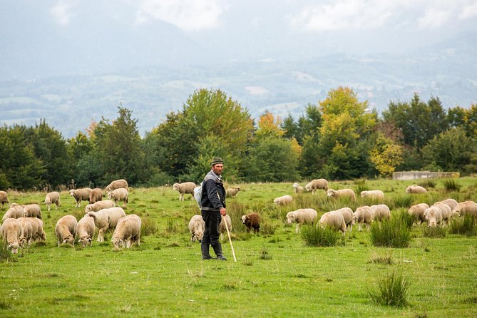 2 Days Tour in Transylvania From Bucharest - Pickup and Schedule