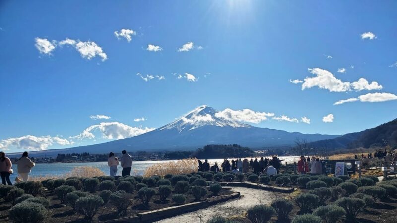 2 Days Tour: Mt. Fuji & Hakone GREEN NUMBER PLATES - Key Points