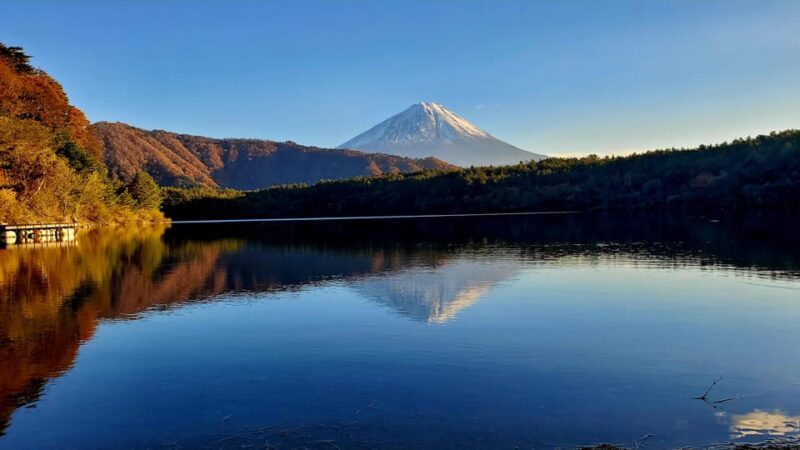2 Days Tour: Mt. Fuji & Hakone GREEN NUMBER PLATES - Marveling at Lake Kawaguchiko and Oishi Park