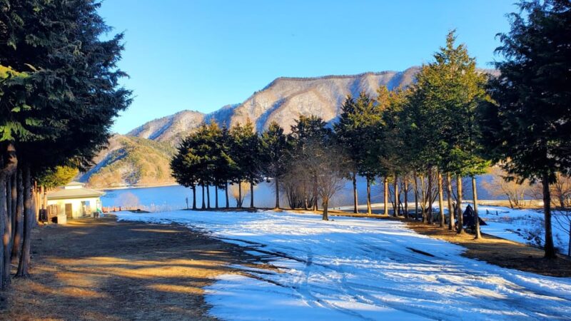 2 Days Tour: Mt. Fuji & Hakone GREEN NUMBER PLATES - Discovering the Beauty of Saiko Lake