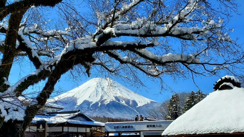 2 Days Tour: Mt. Fuji & Hakone GREEN NUMBER PLATES - Day 2: Tranquil Lake Ashinoko and Motohakone-ko