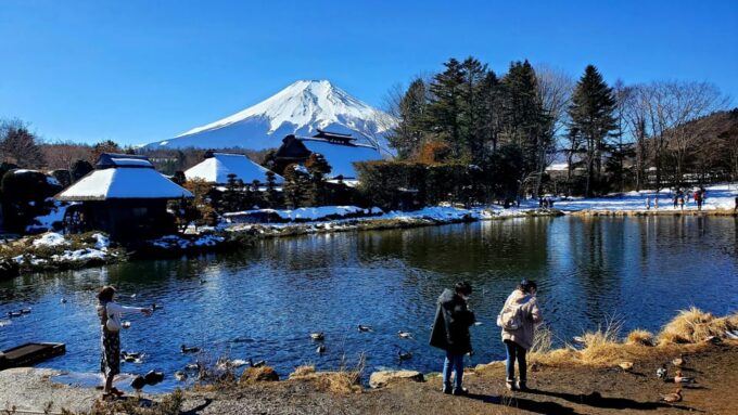 2 Days Tour: Mt. Fuji & Hakone GREEN NUMBER PLATES - Soaring Through the Hakone Ropeway