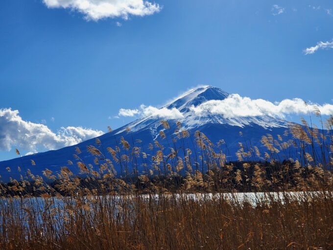 2 Days Tour: Mt. Fuji & Hakone GREEN NUMBER PLATES - Indulging in the Hakone Open-Air Museum and Gotemba Premium Outlets