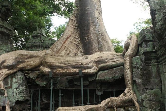 2 Days Tour of Siem Reap Temple-Small Group - Highlights From Reviews