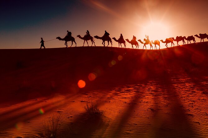 2 Days Tour | Petra, Wadi Rum, and Dead Sea From Amman. - Transportation