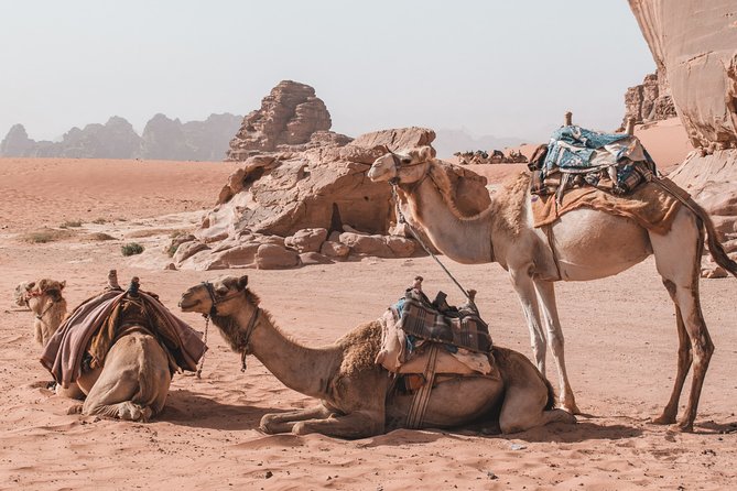 2 Days Tour | Petra, Wadi Rum & Dead Sea | Accommodation Included - Dead Sea Float