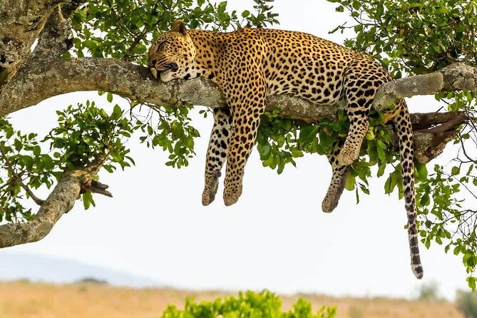 2 Days Tour Tarangire & Ngorongoro - Exclusions