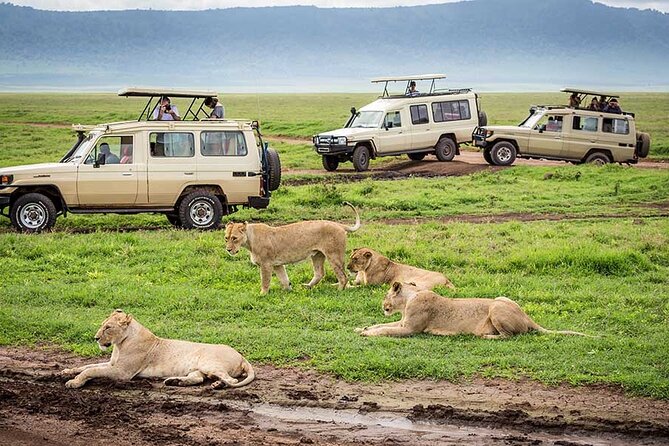 2 Days Tour Tarangire & Ngorongoro - Meeting and Pickup