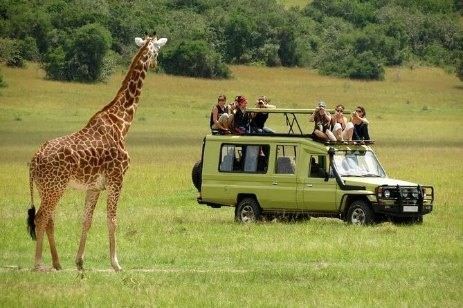 2 Days Tour Tarangire & Ngorongoro - Pricing